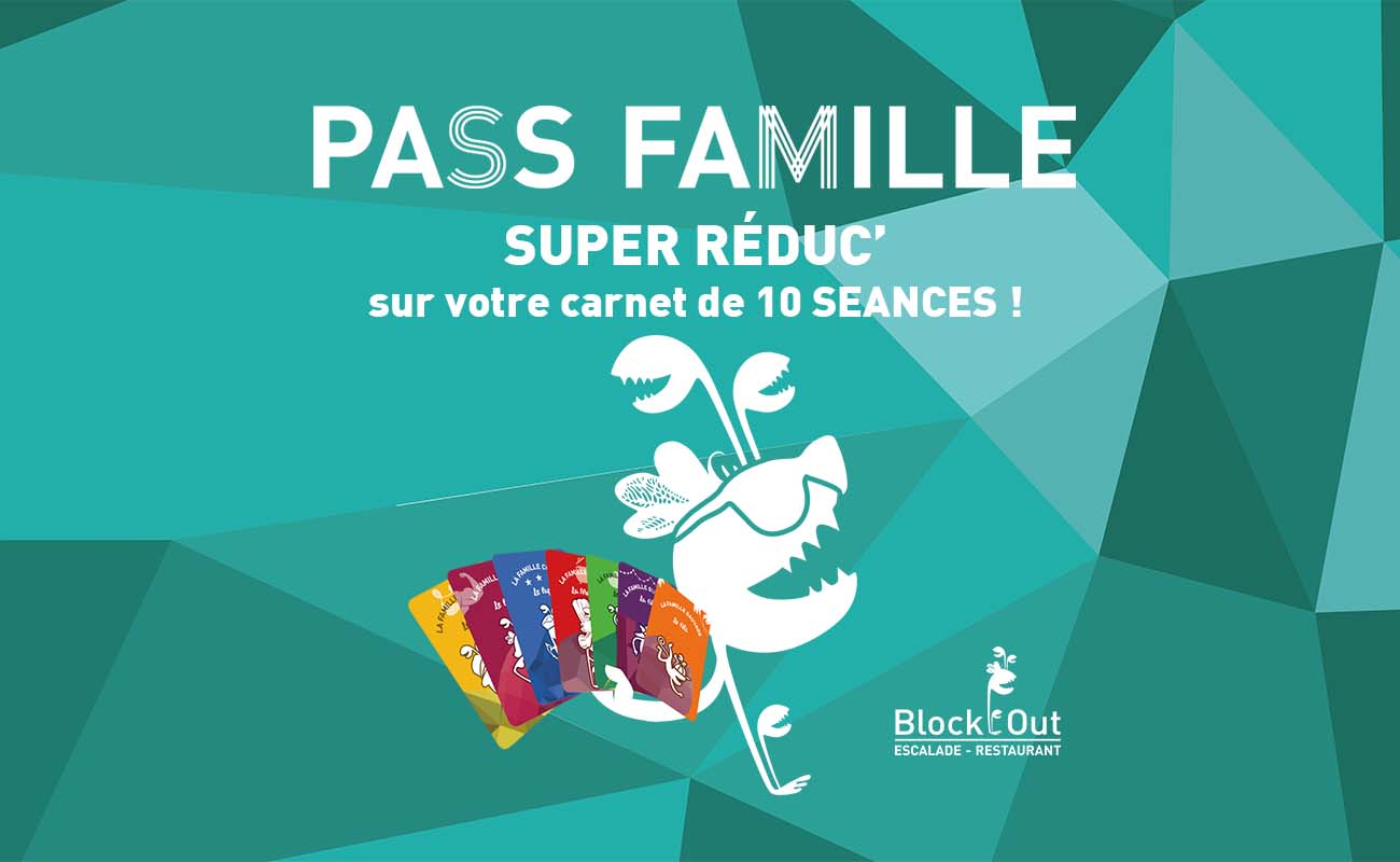 UNE ACTIVITÉ PENDANT LES VACANCES : L’ESCALADE GRÂCE À UN PASS SPÉCIAL FAMILLE !