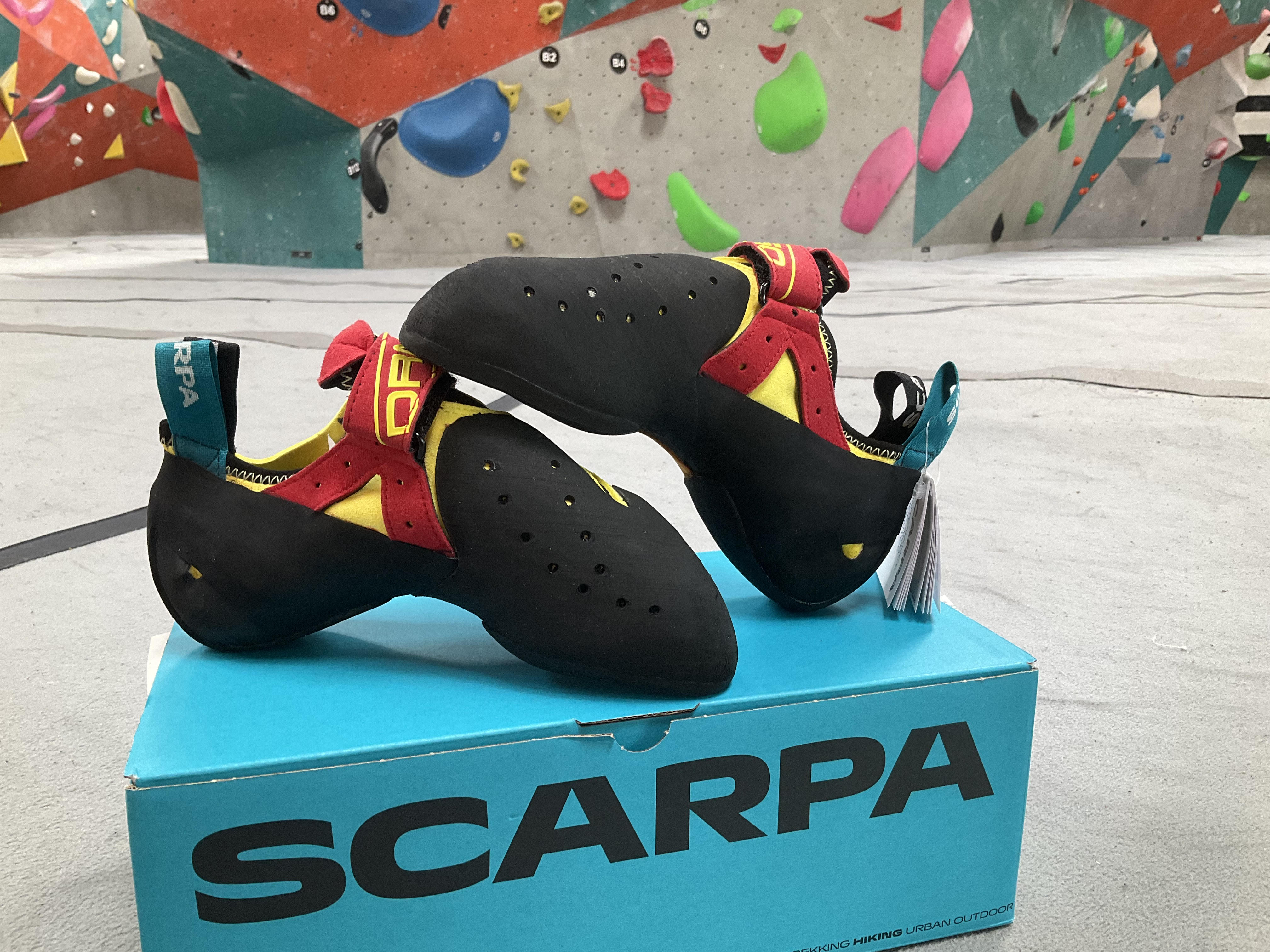 Scarpa - Drago