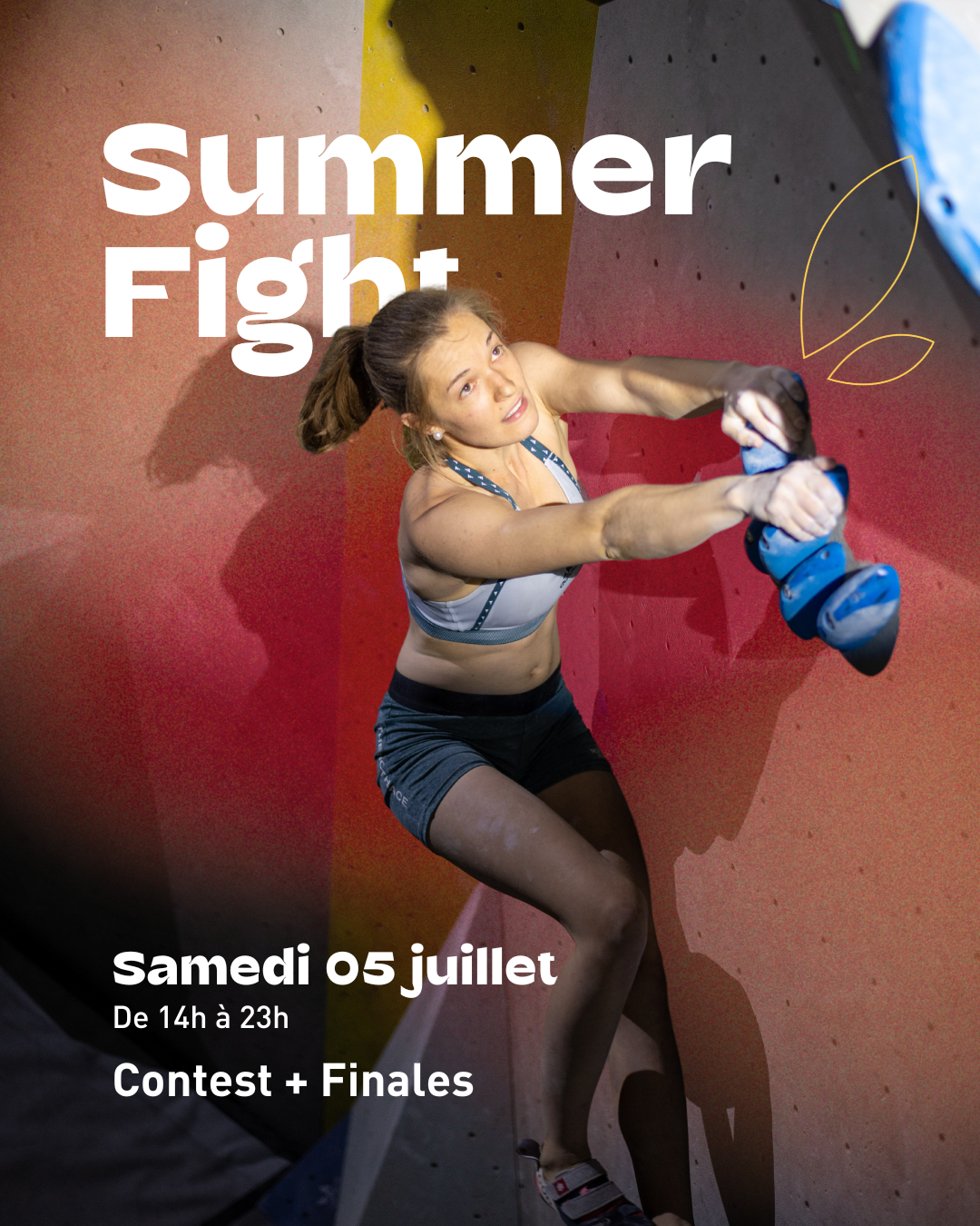 ☀️ Summer Fight 🏝️