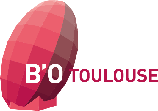 Blocs-des-Salles-BO-Toulouseprint.png - 37,17 kB