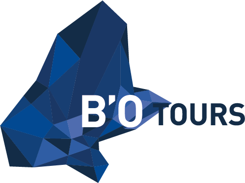 Blocs-des-Salles-BO-Toursprint.png - 36,08 kB