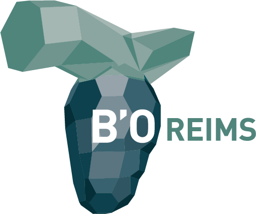 Blocs-des-Salles-BO-reimsprint.png - 38,20 kB