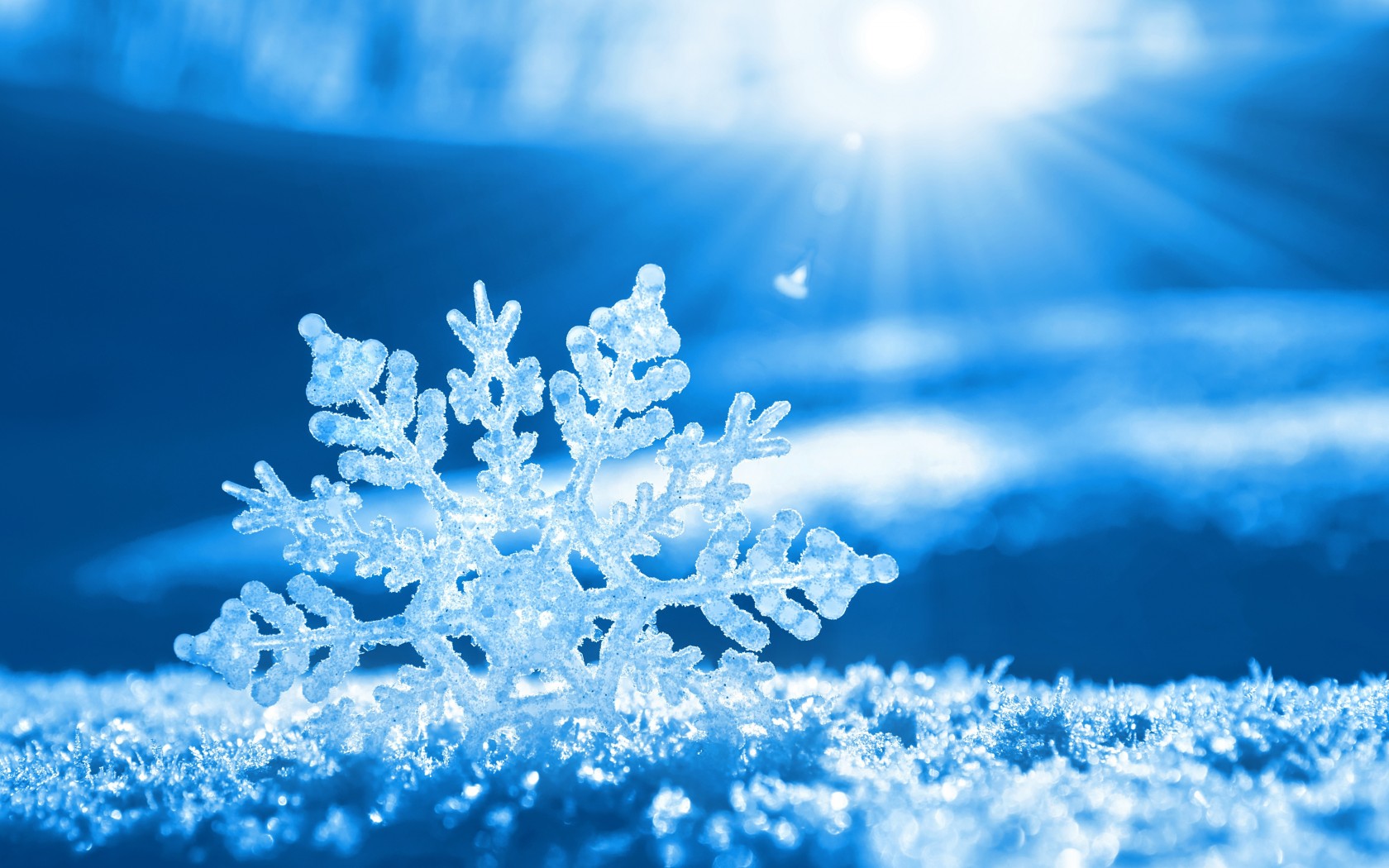 CONTEST WINTER 